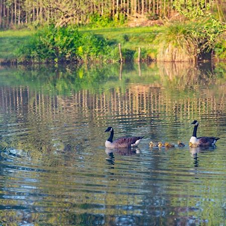 Beautiful Willow Lodge 67-4-6 Persons-Private Hot Tub-Pet Friendly-Tranquil Holiday Away From It All Yet Not Far To St Austell-The Holiday Home Has Two Bedrooms, Living & Dining Area, Equipped Kitchen -Decking-Al Fresco Dining-Fishing Lakes-Pet Frien Grampound Экстерьер фото