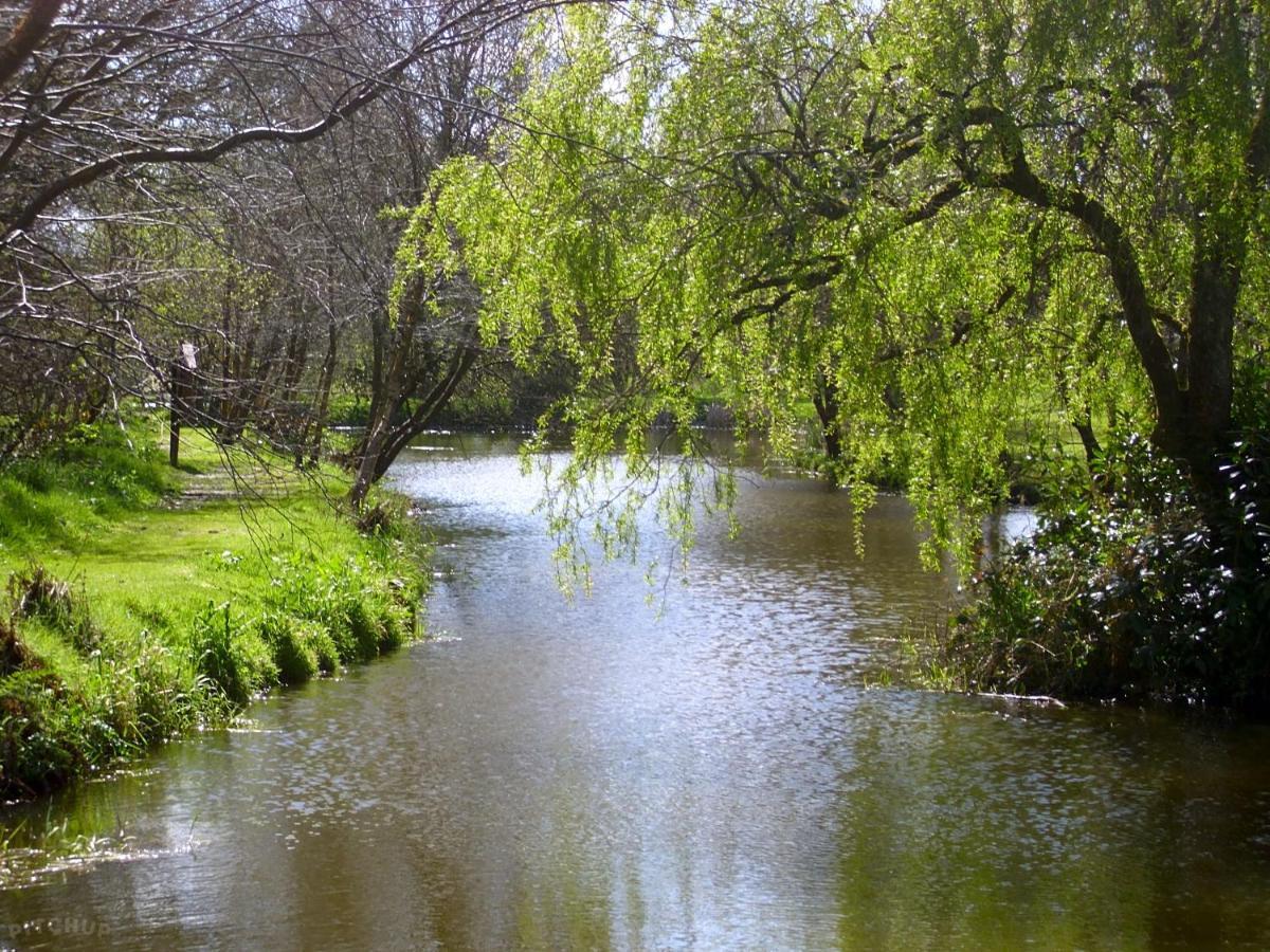 Beautiful Willow Lodge 67-4-6 Persons-Private Hot Tub-Pet Friendly-Tranquil Holiday Away From It All Yet Not Far To St Austell-The Holiday Home Has Two Bedrooms, Living & Dining Area, Equipped Kitchen -Decking-Al Fresco Dining-Fishing Lakes-Pet Frien Grampound Экстерьер фото
