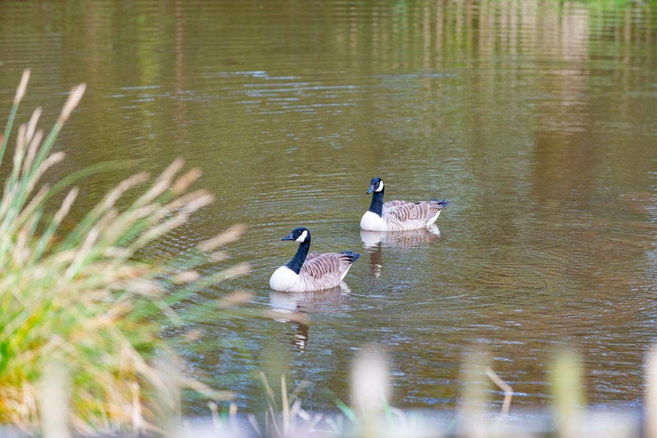 Beautiful Willow Lodge 67-4-6 Persons-Private Hot Tub-Pet Friendly-Tranquil Holiday Away From It All Yet Not Far To St Austell-The Holiday Home Has Two Bedrooms, Living & Dining Area, Equipped Kitchen -Decking-Al Fresco Dining-Fishing Lakes-Pet Frien Grampound Экстерьер фото